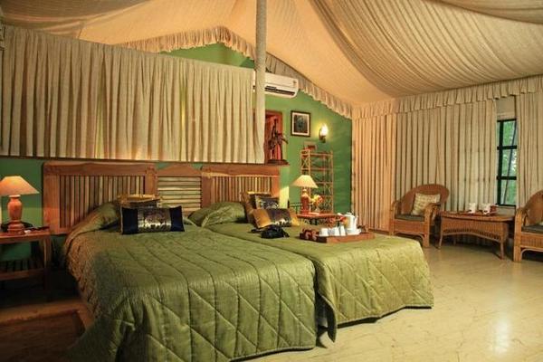 Pench Jungle Camp